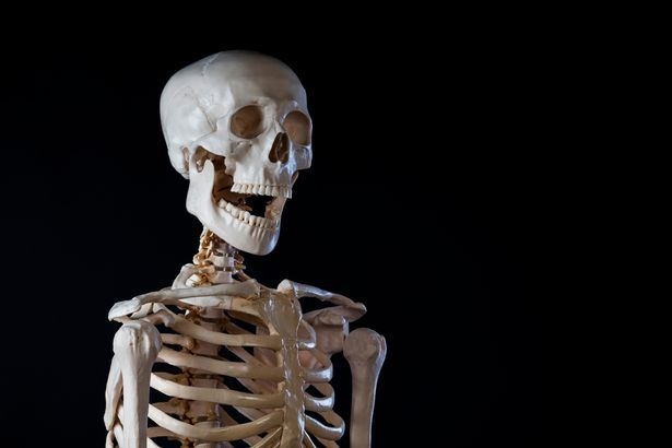 0-human-skeleton-opened-mouth-copy-EOs6.